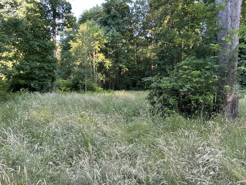 1672 Breedtown Road Titusville, PA 16354 - Photo 7 of 13