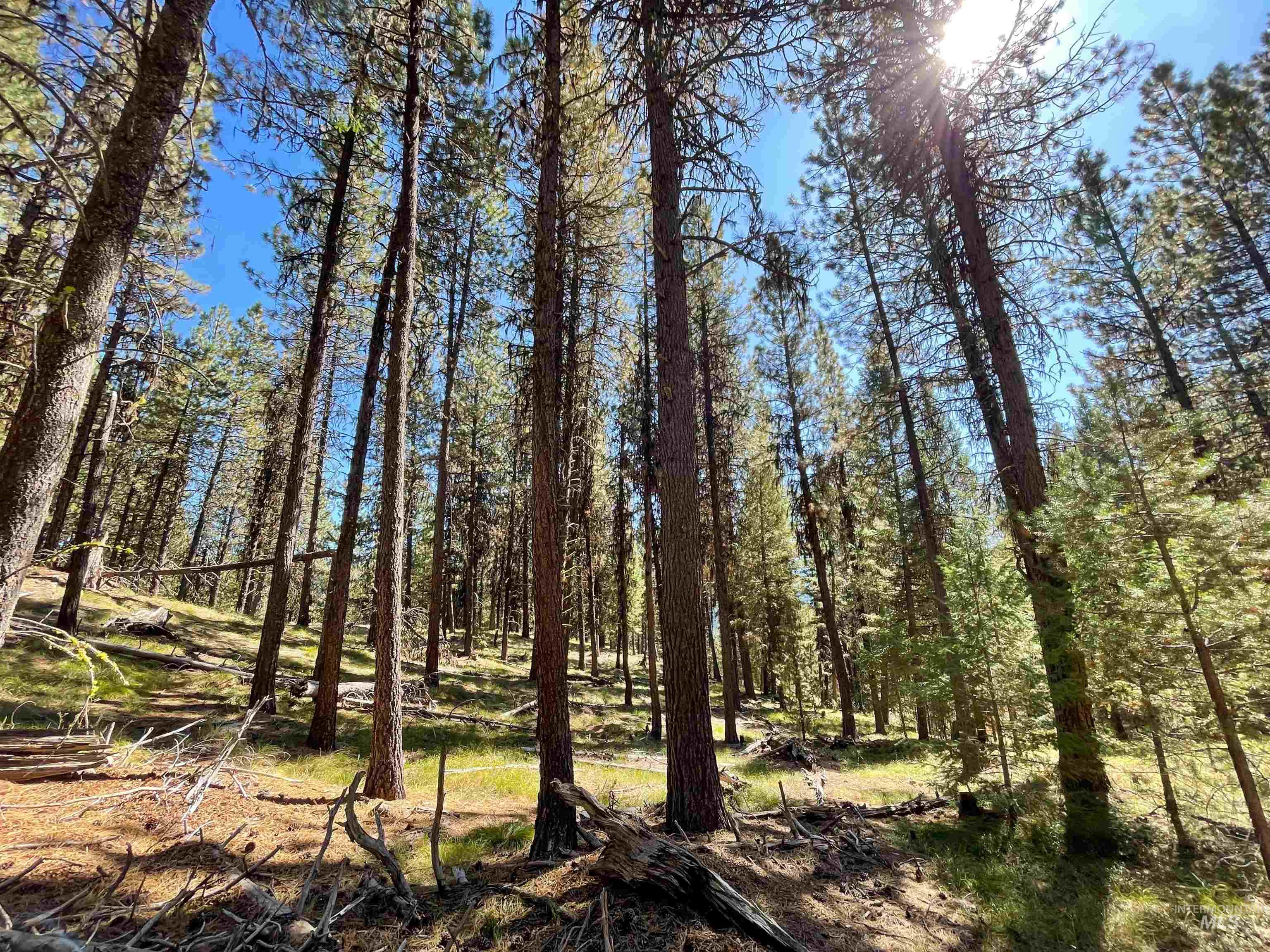 1-4 Horsethief Road Cascade, ID 83611 - Photo 4 of 7