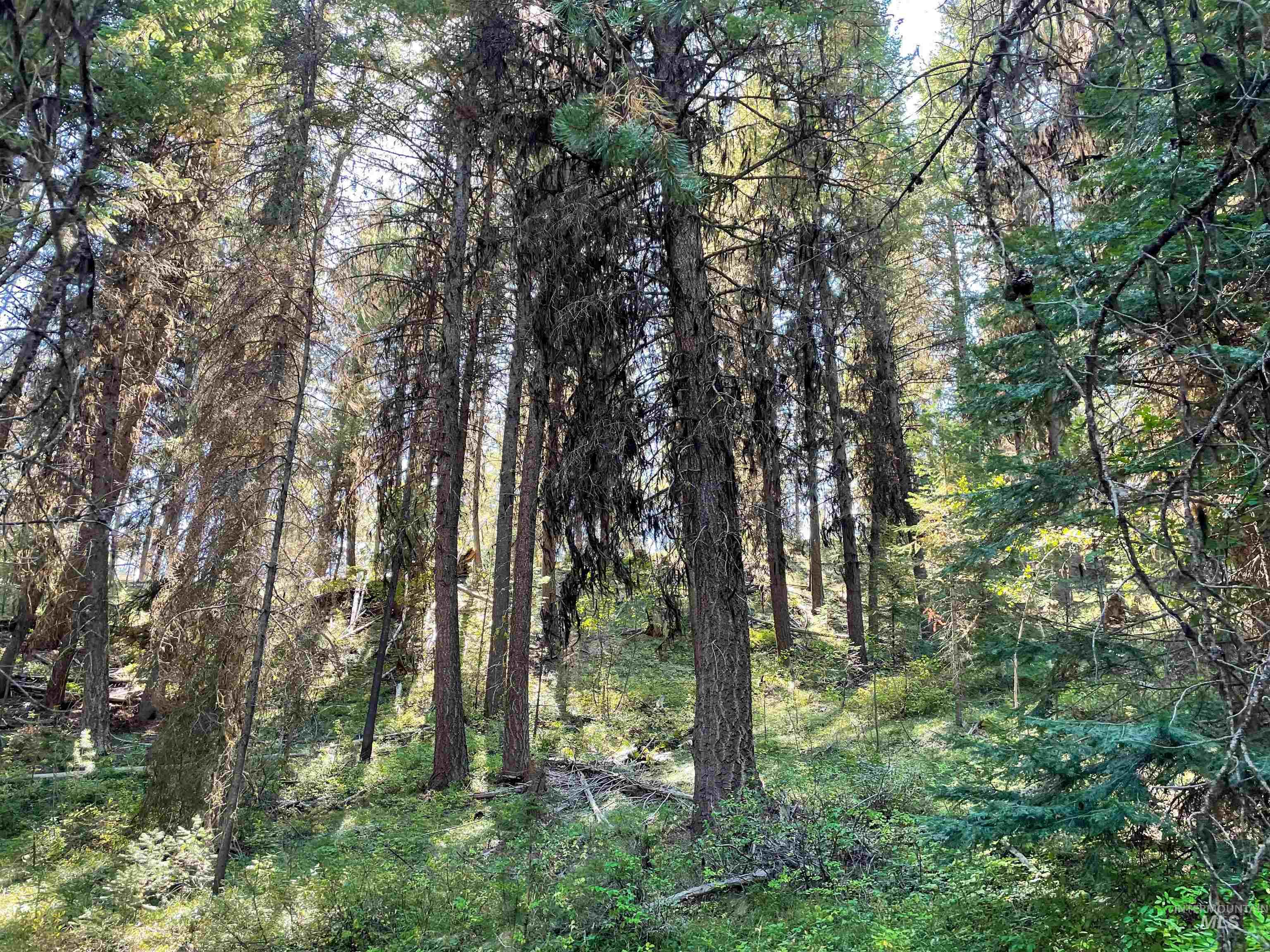 1-4 Horsethief Road Cascade, ID 83611 - Photo 7 of 7