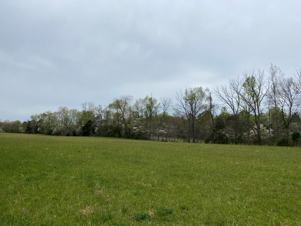 Tbd Blake Road Greeneville, TN 37743 - Photo 4 of 25 8707E0AA-A656-4B07-B70F-2050EDAE3768
