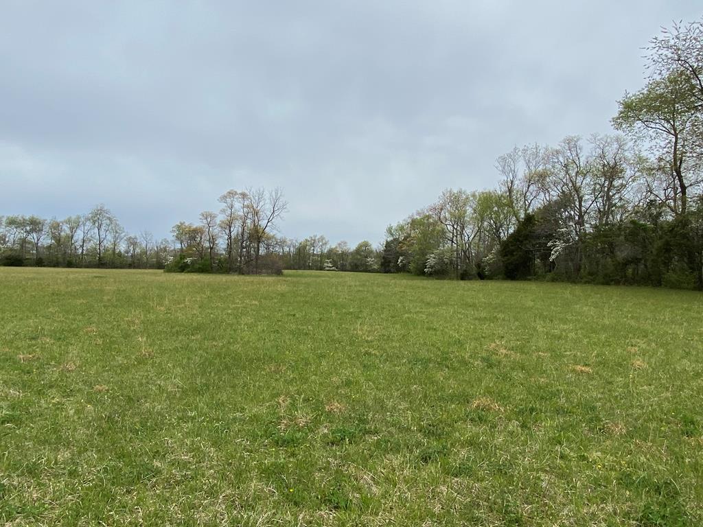 Tbd Blake Road Greeneville, TN 37743 - Photo 6 of 25 DB0524AD-9F80-446D-80AE-0F84078D2213
