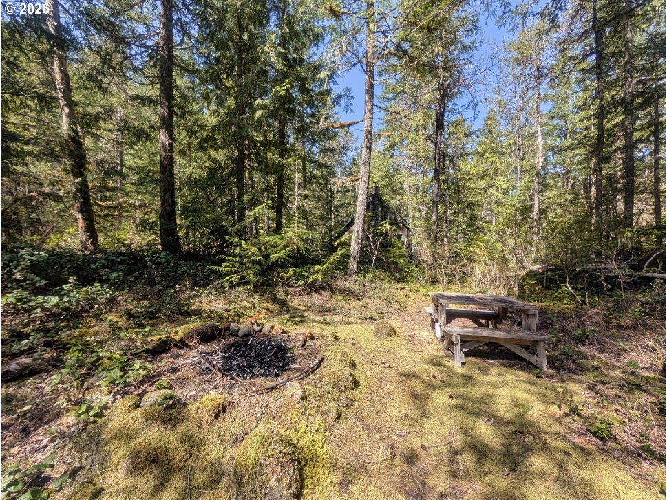 73867 Nf-20e Rhododendron, OR 97049 - Photo 39 of 41 Gallery Image 39