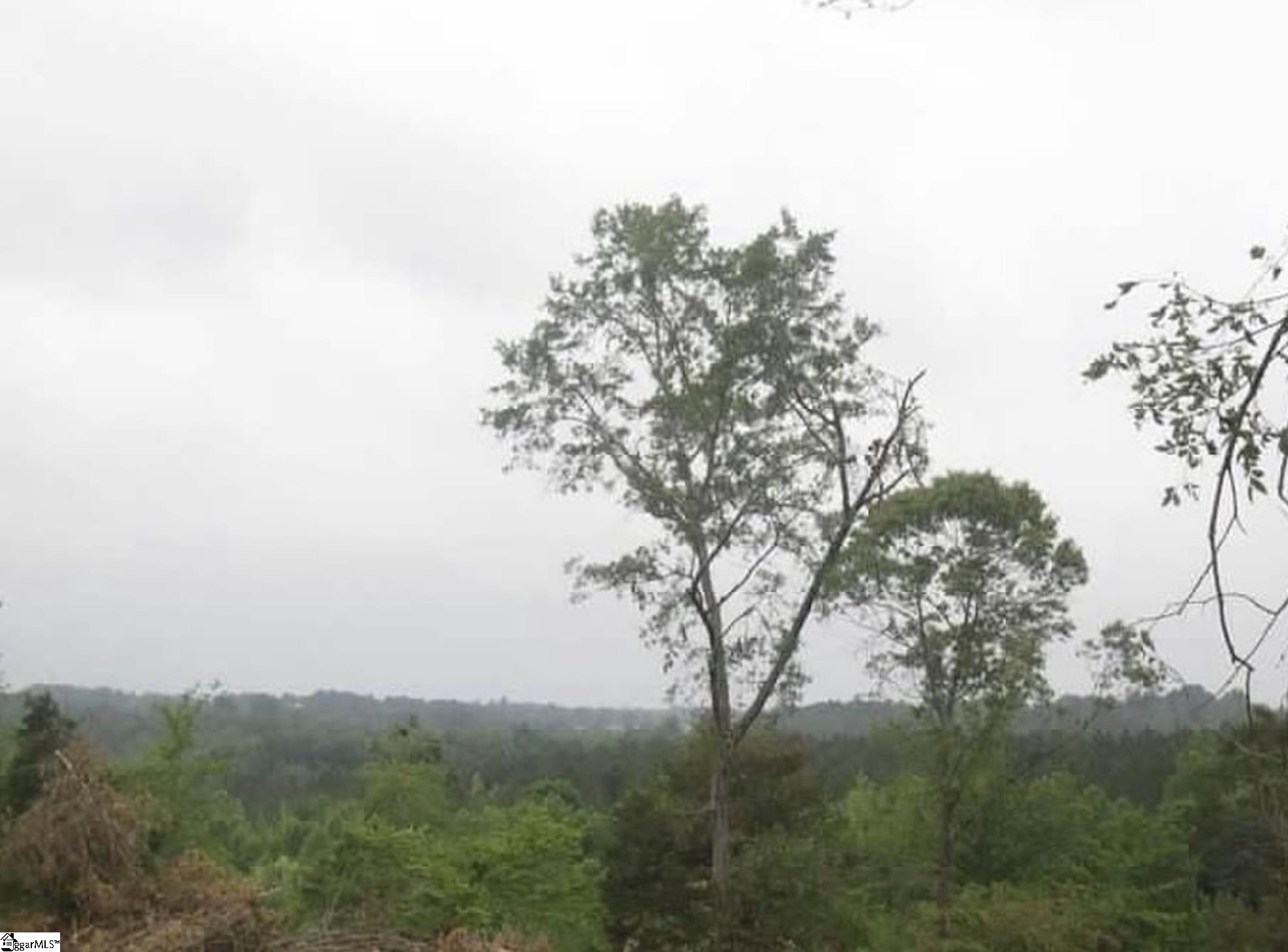 320 Fishers Cove Road Fair Play, SC 29643 - Photo 6 of 8