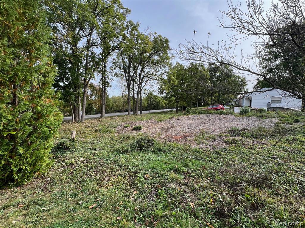 0 Tienken Road Auburn Hills, MI 48326 - Photo 3 of 4