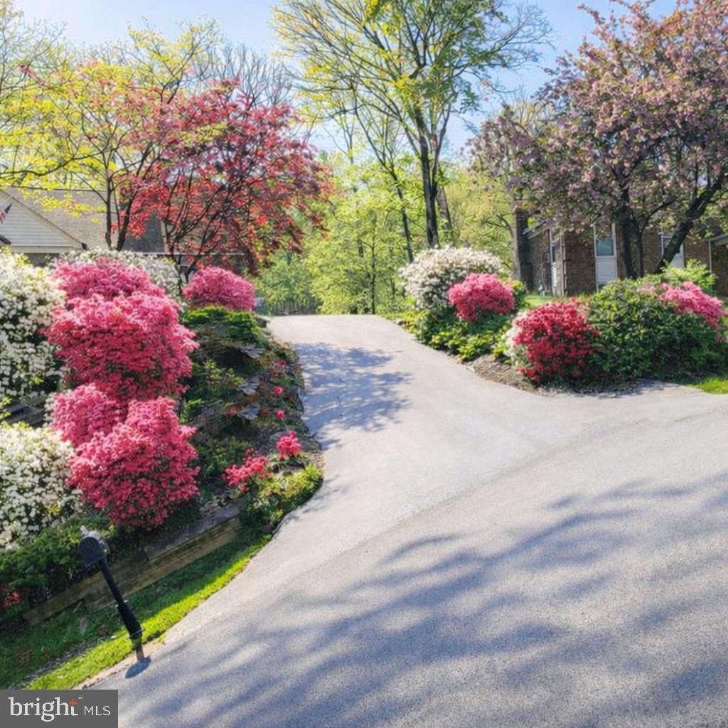 5006 Pheasant Ridge Road Fairfax, VA 22030 - Photo 2 of 3 beautiful landscaping if full bloom