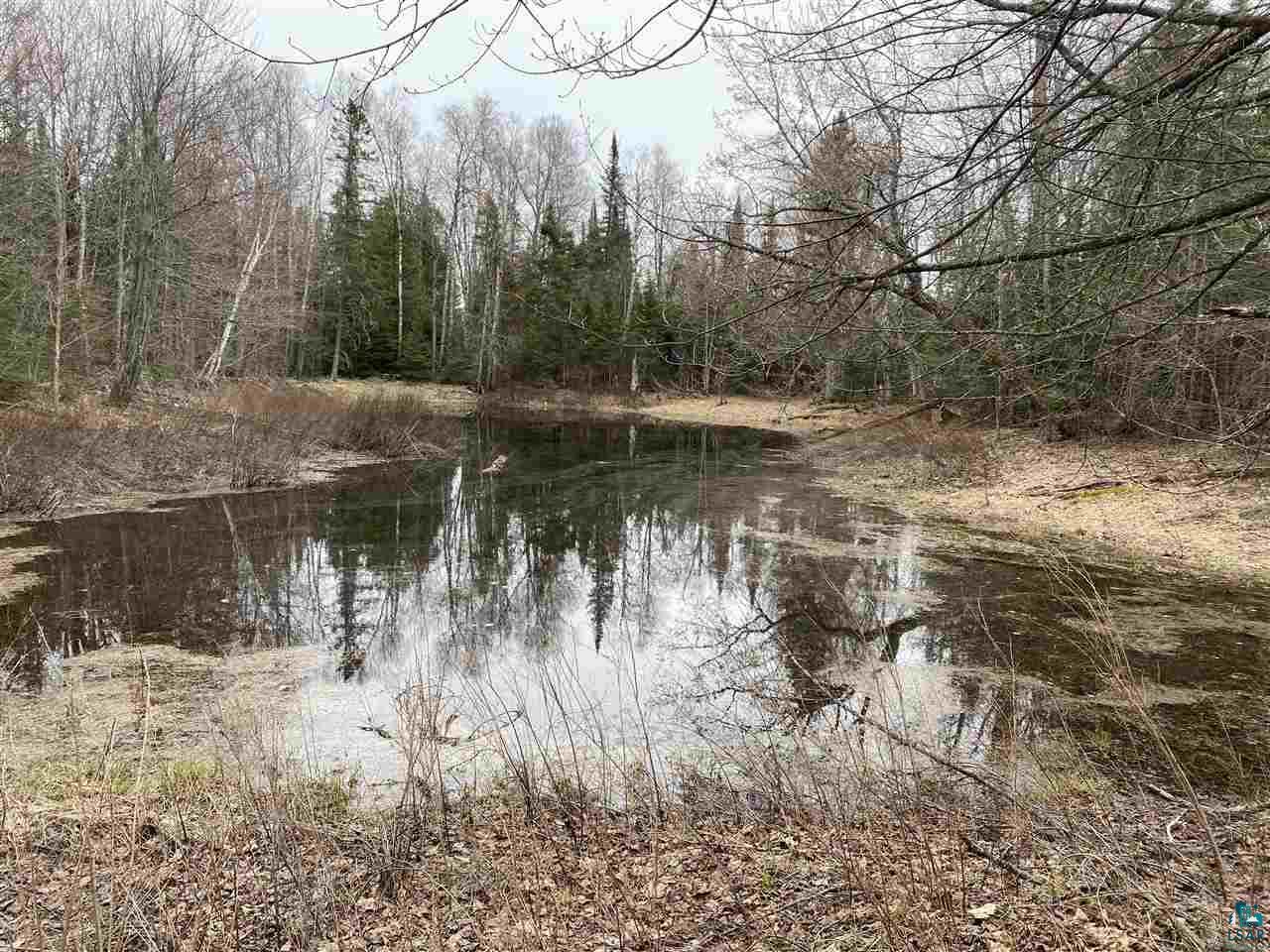 4946 East Clark Lake Road Two Harbors, MN 55616 - Photo 3 of 12 Gallery Image 3