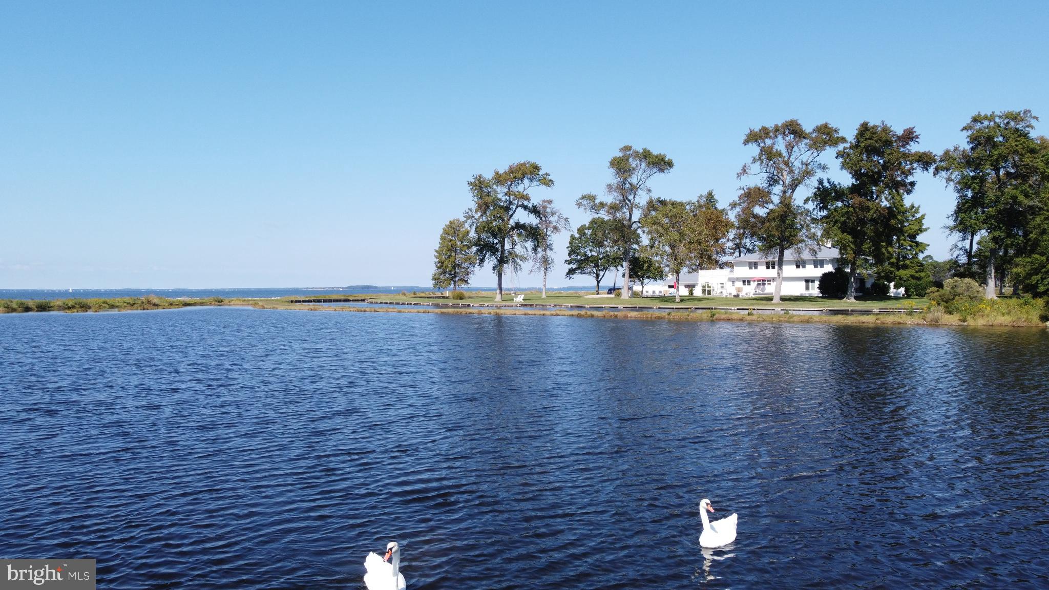 133 Kilby Point Queenstown, MD 21658 - Photo 2 of 87