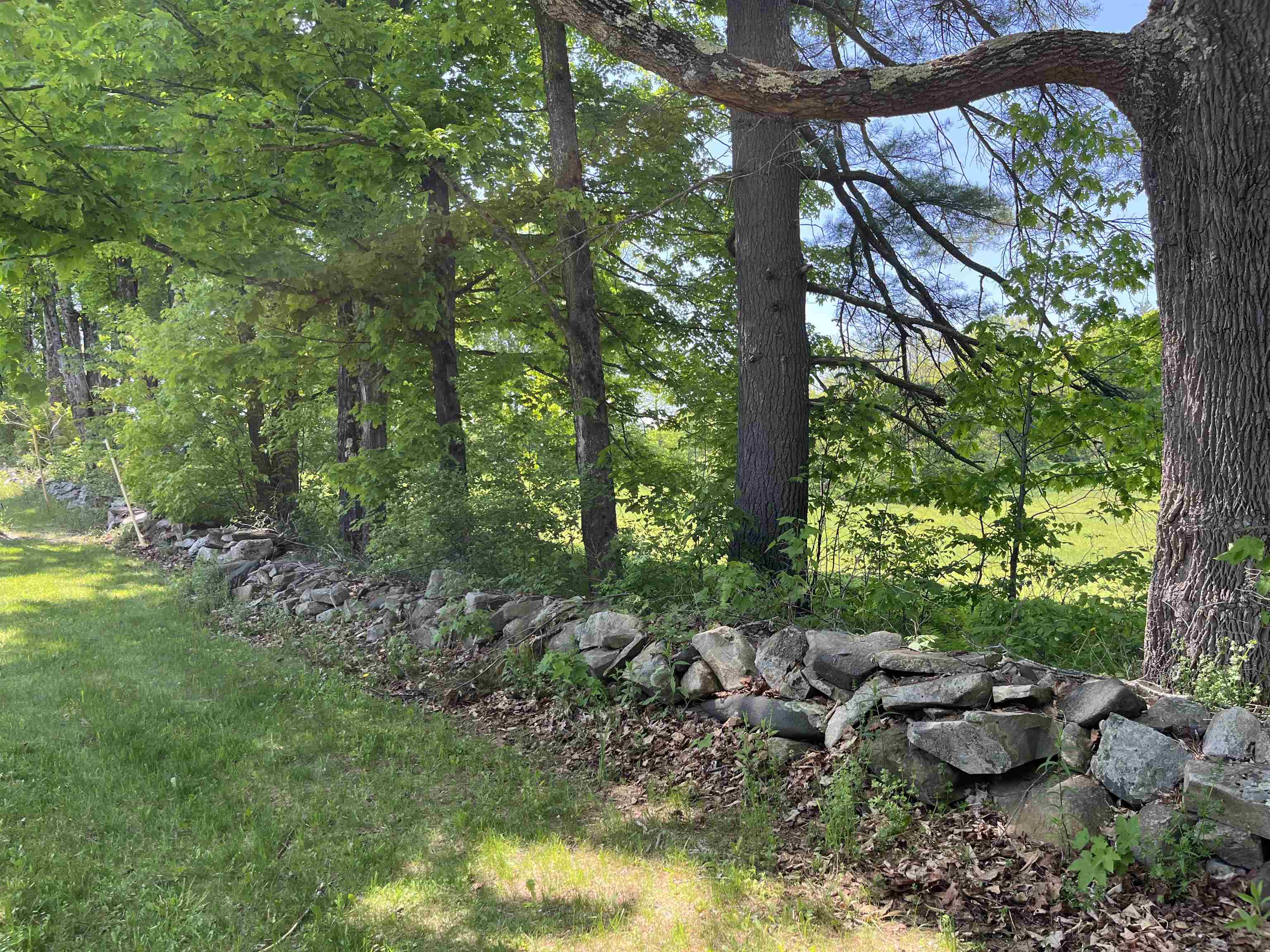 1165 Morrison Hill Road Barnet, VT 05821 - Photo 39 of 40