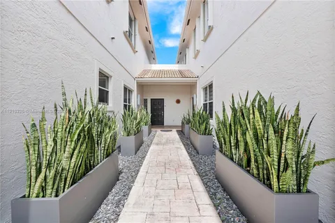a view of a potted plant in a empty room