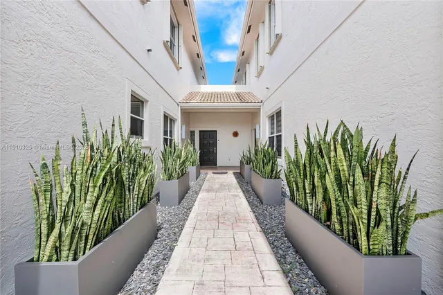a view of a potted plant in a empty room