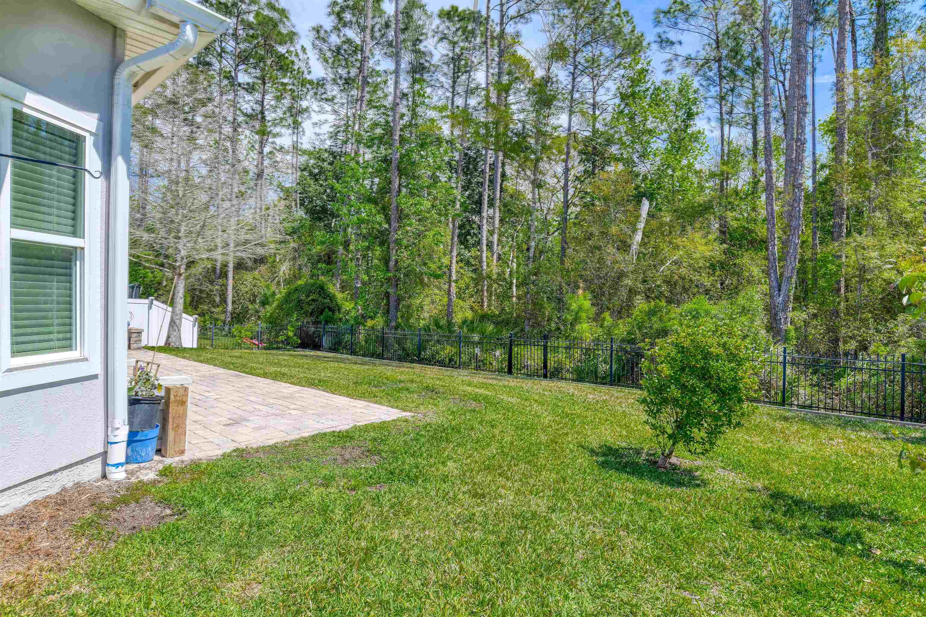 485 Crescent Key Drive St. Augustine, FL 32086 - Photo 25 of 46 a view of a yard with a tree