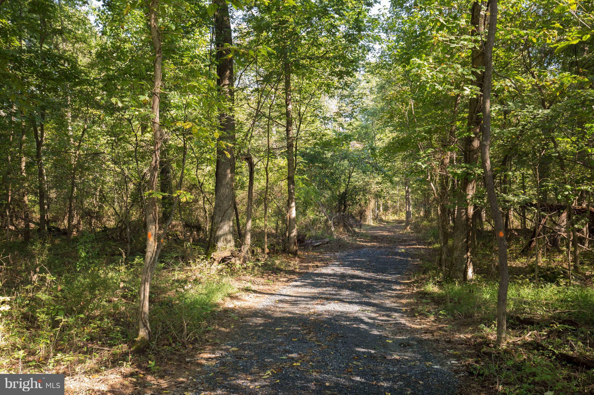 0 Moose Road Berryville, VA 22611 - Photo 4 of 9 Exterior (General)