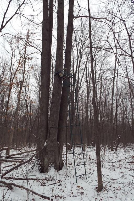 Eight West Eight Mile Road South Lyon, MI 48178 - Photo 29 of 58
