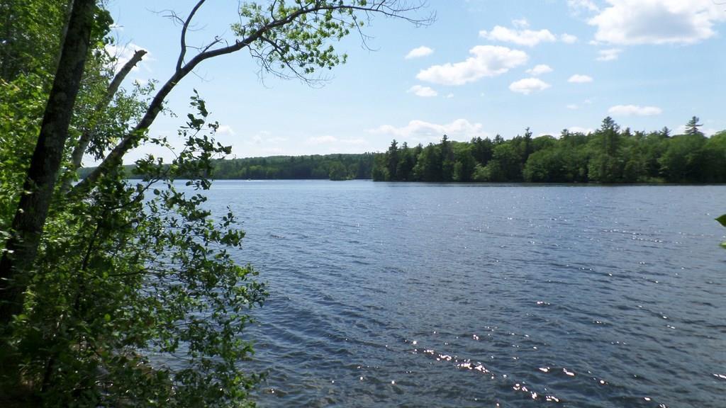 108 Thorp Shores Road Readfield, ME 04355 - Photo 4 of 24 View up the lake
