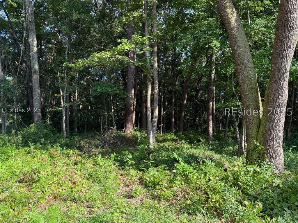 23 Joe Frazier Road Beaufort, SC 29906 - Photo 2 of 6