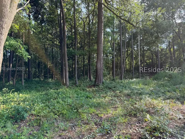 $95,000 | 23 Joe Frazier Road, Beaufort, SC 29906