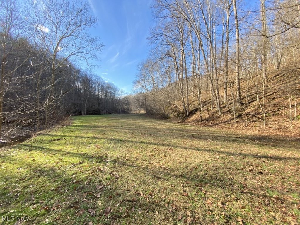 88 Ivy Road Walton, WV 25286 - Photo 13 of 37