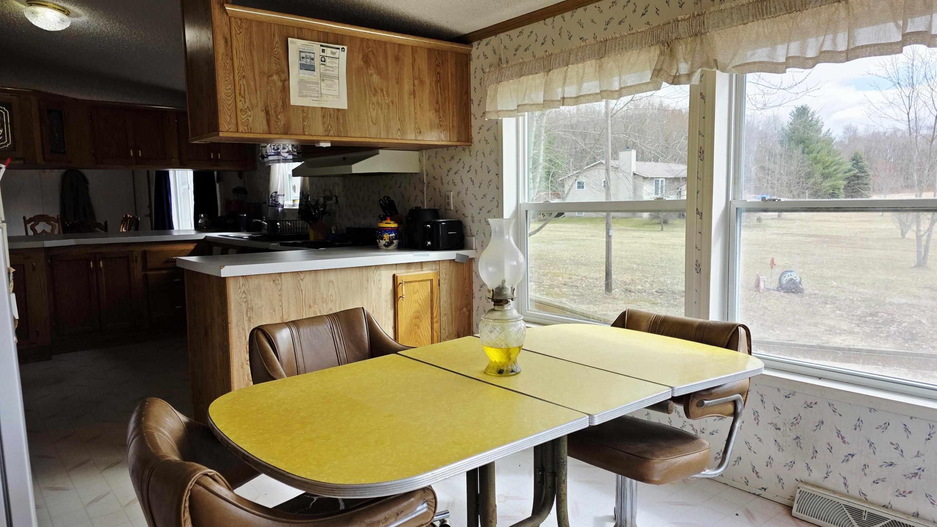 7272 Cedar Lake Road Northeast Edmore, MI 48829 - Photo 11 of 28 20260323_155143