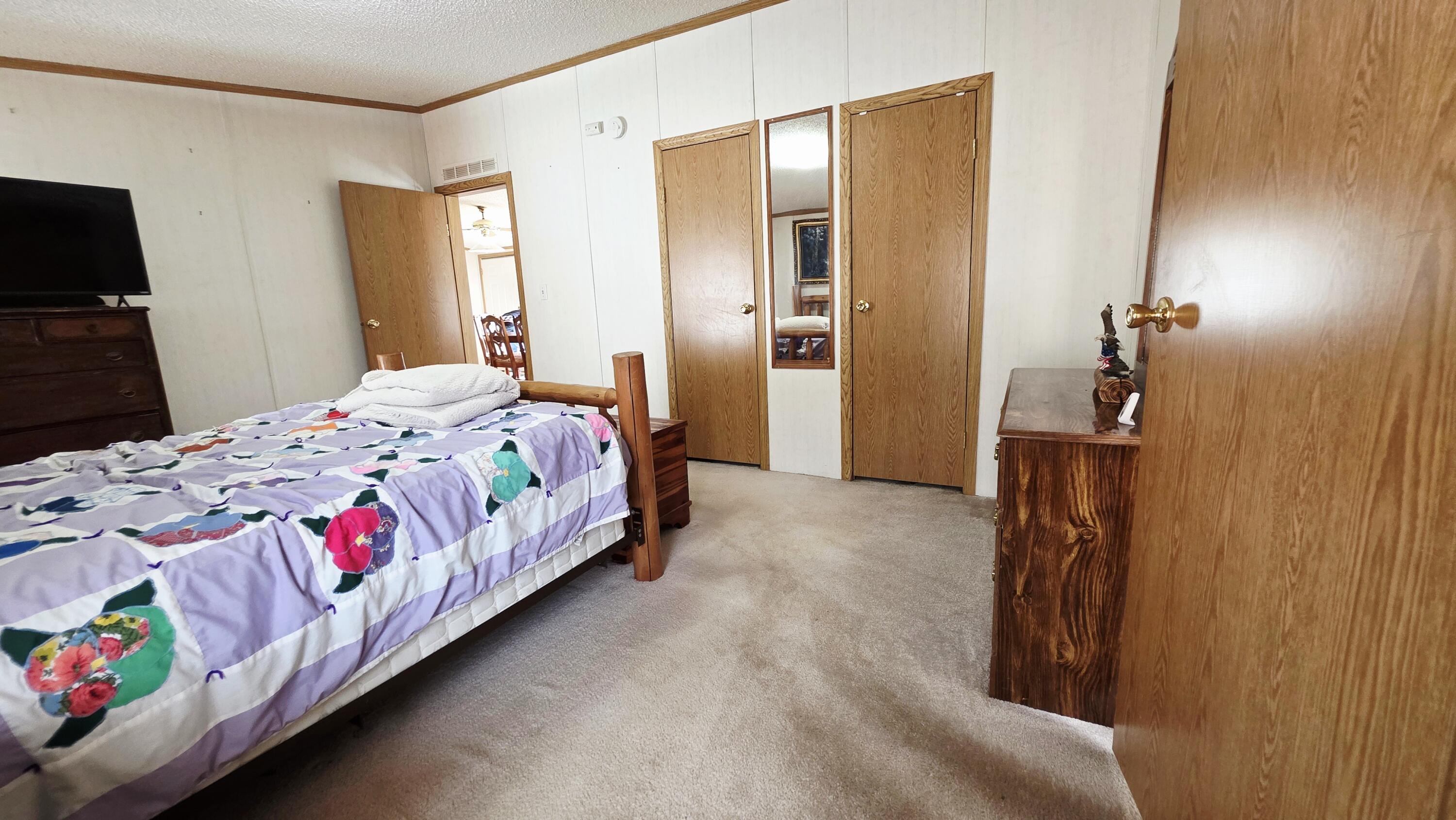 7272 Cedar Lake Road Northeast Edmore, MI 48829 - Photo 13 of 28 20260323_155604