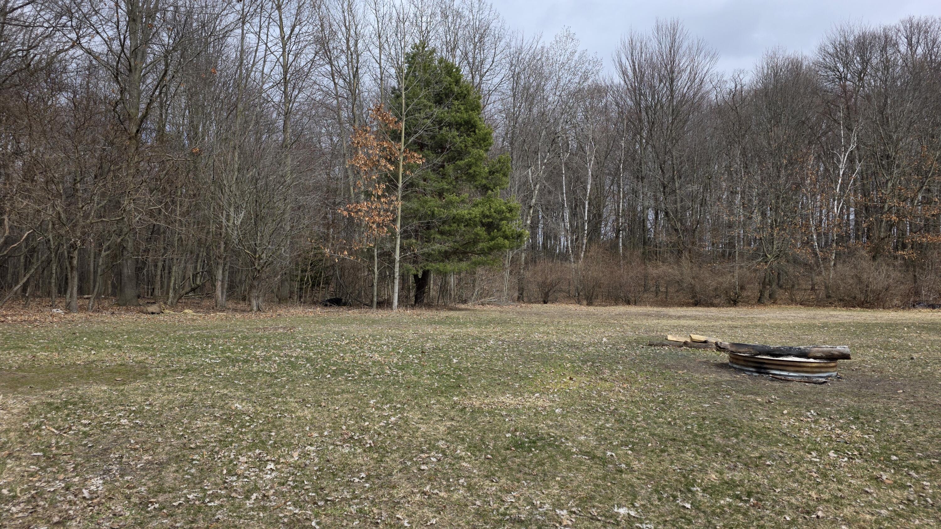 7272 Cedar Lake Road Northeast Edmore, MI 48829 - Photo 22 of 28 20260323_154123