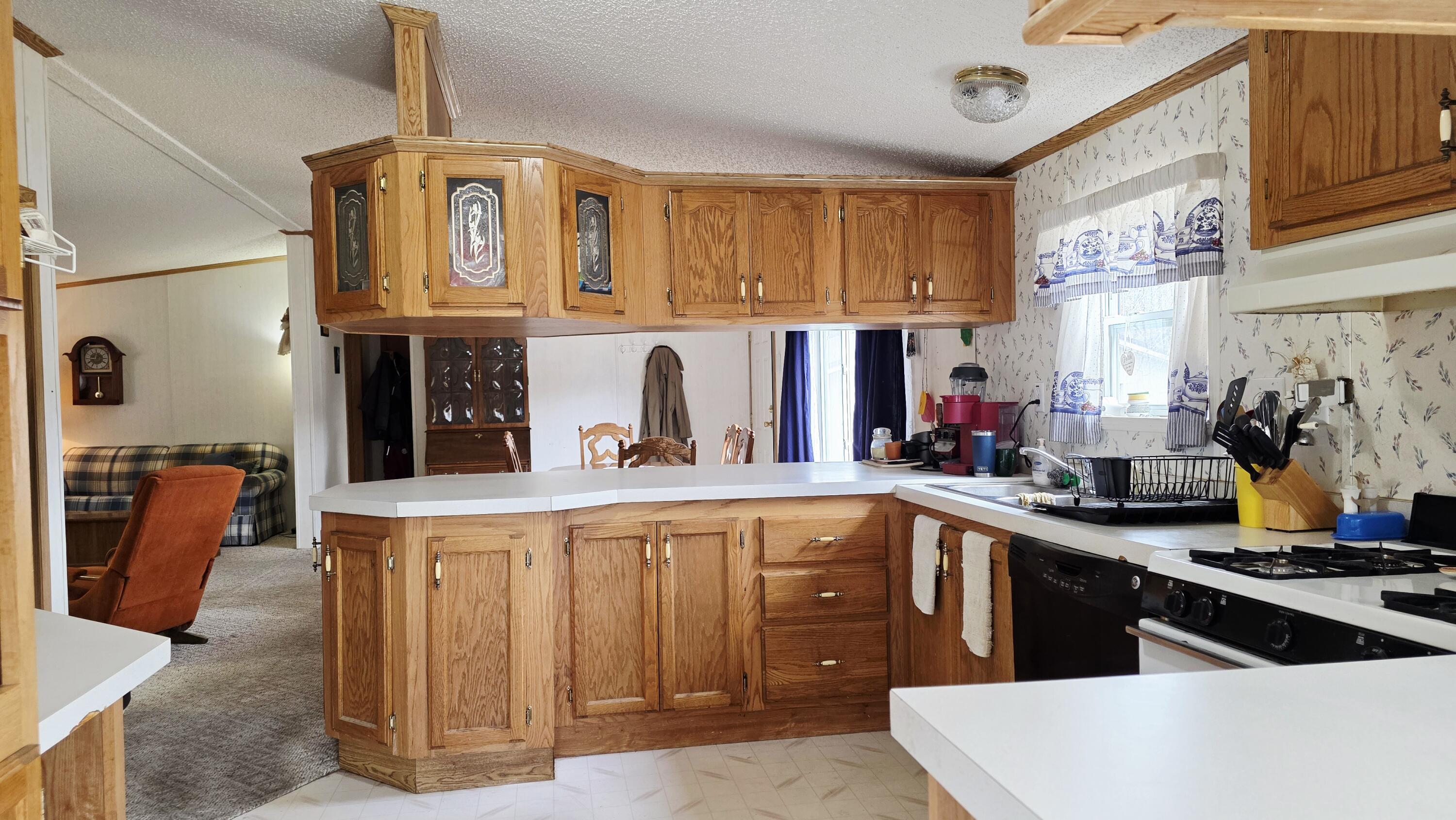 7272 Cedar Lake Road Northeast Edmore, MI 48829 - Photo 10 of 28 20260323_154942