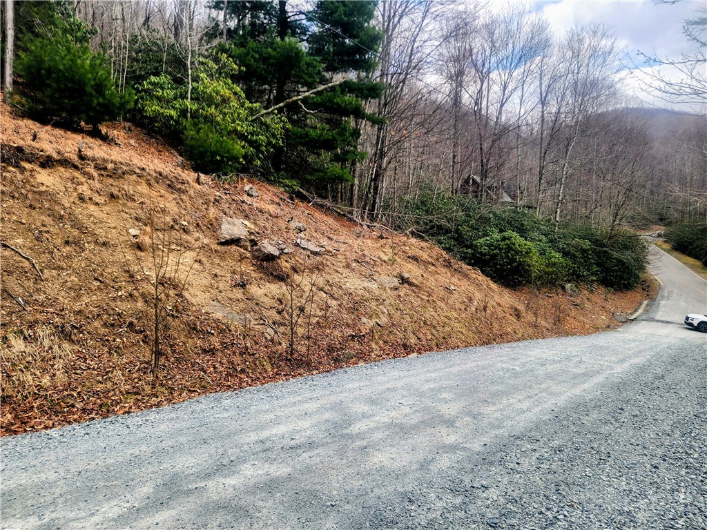 100 Deergrass Road Beech Mountain, NC 28604 - Photo 2 of 3