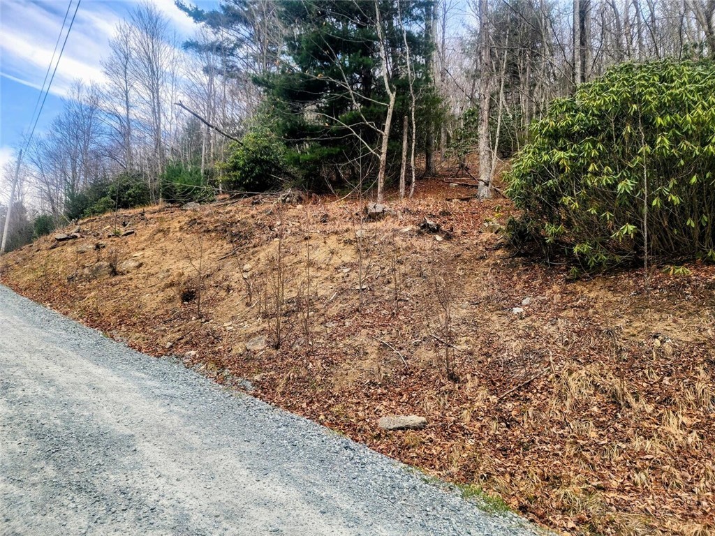 100 Deergrass Road Beech Mountain, NC 28604 - Photo 3 of 3