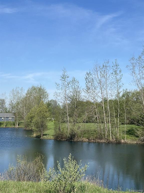 Vl Turtle Lake Road North Branch, MI 48461 - Photo 1 of 3