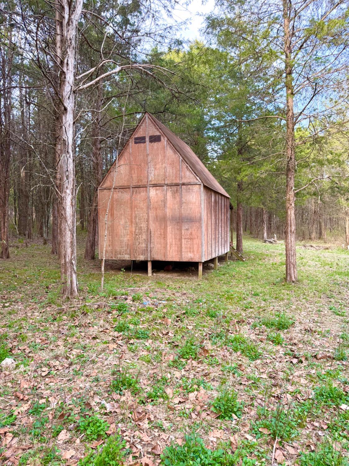 1600 Magee Jones Road Peebles, OH 45660 - Photo 66 of 91