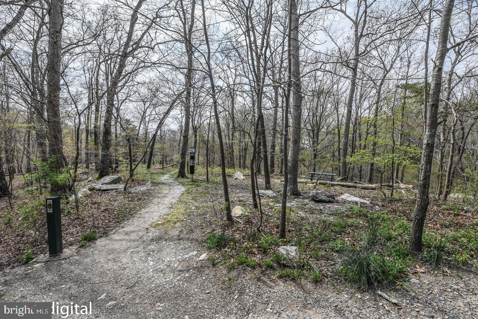 6767 Balmoral Ridge New Market, MD 21774 - Photo 50 of 53 Wonderful walking trails right on your doorstep