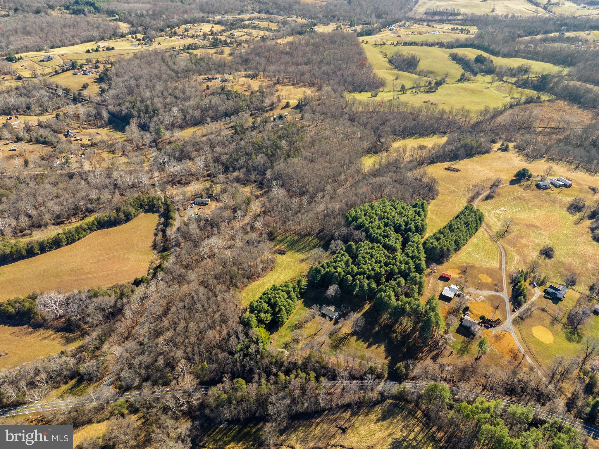148 Viewtown Road Amissville, VA 20106 - Photo 24 of 56 a view of a yard with plants and large trees