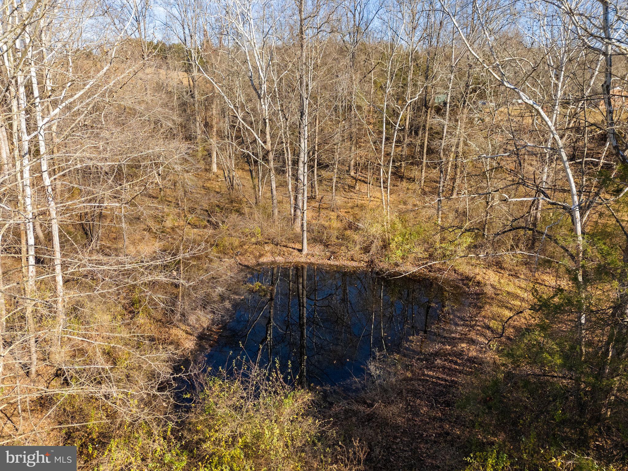 148 Viewtown Road Amissville, VA 20106 - Photo 27 of 56