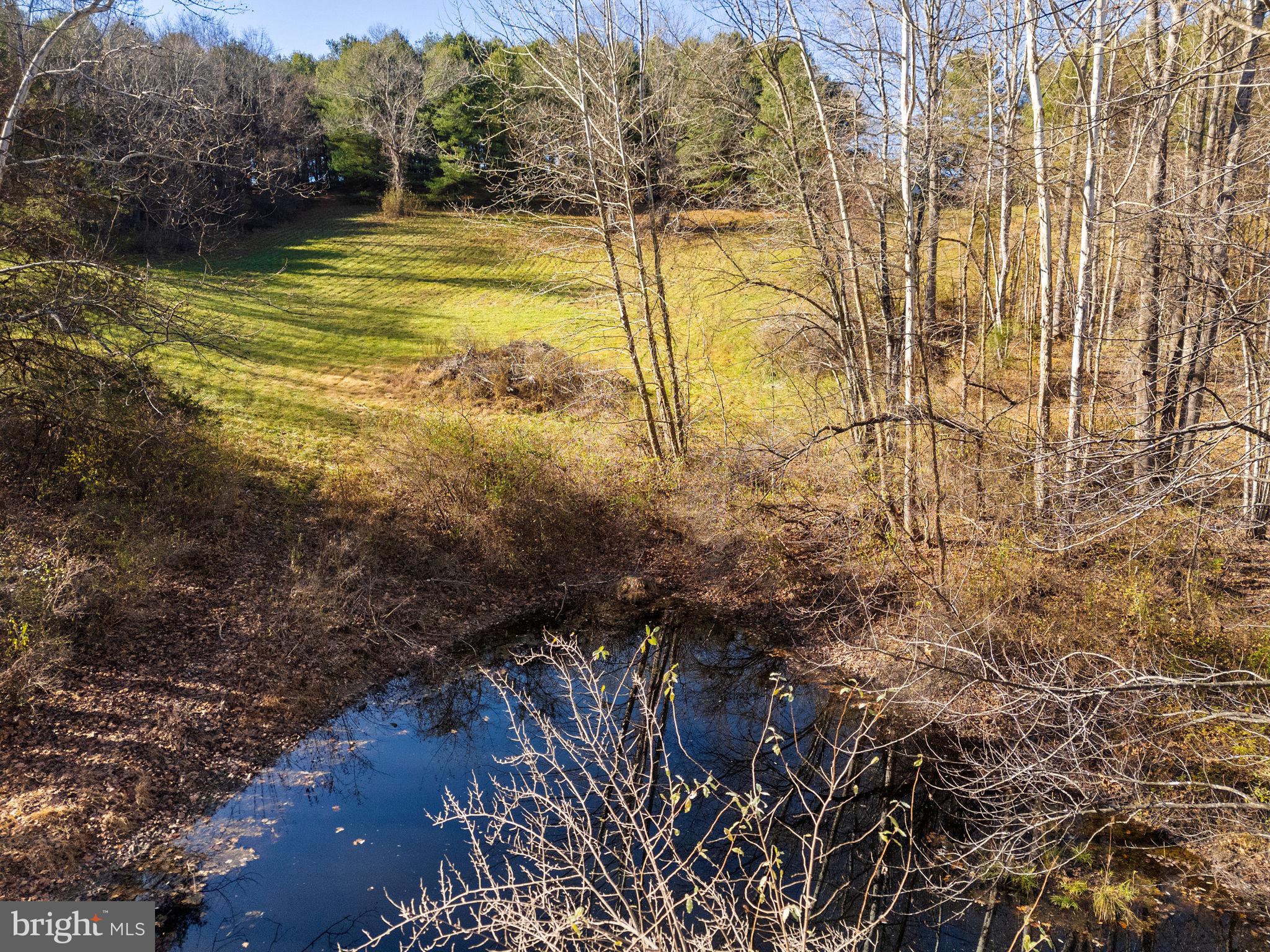 148 Viewtown Road Amissville, VA 20106 - Photo 28 of 56 a view of a yard of the house