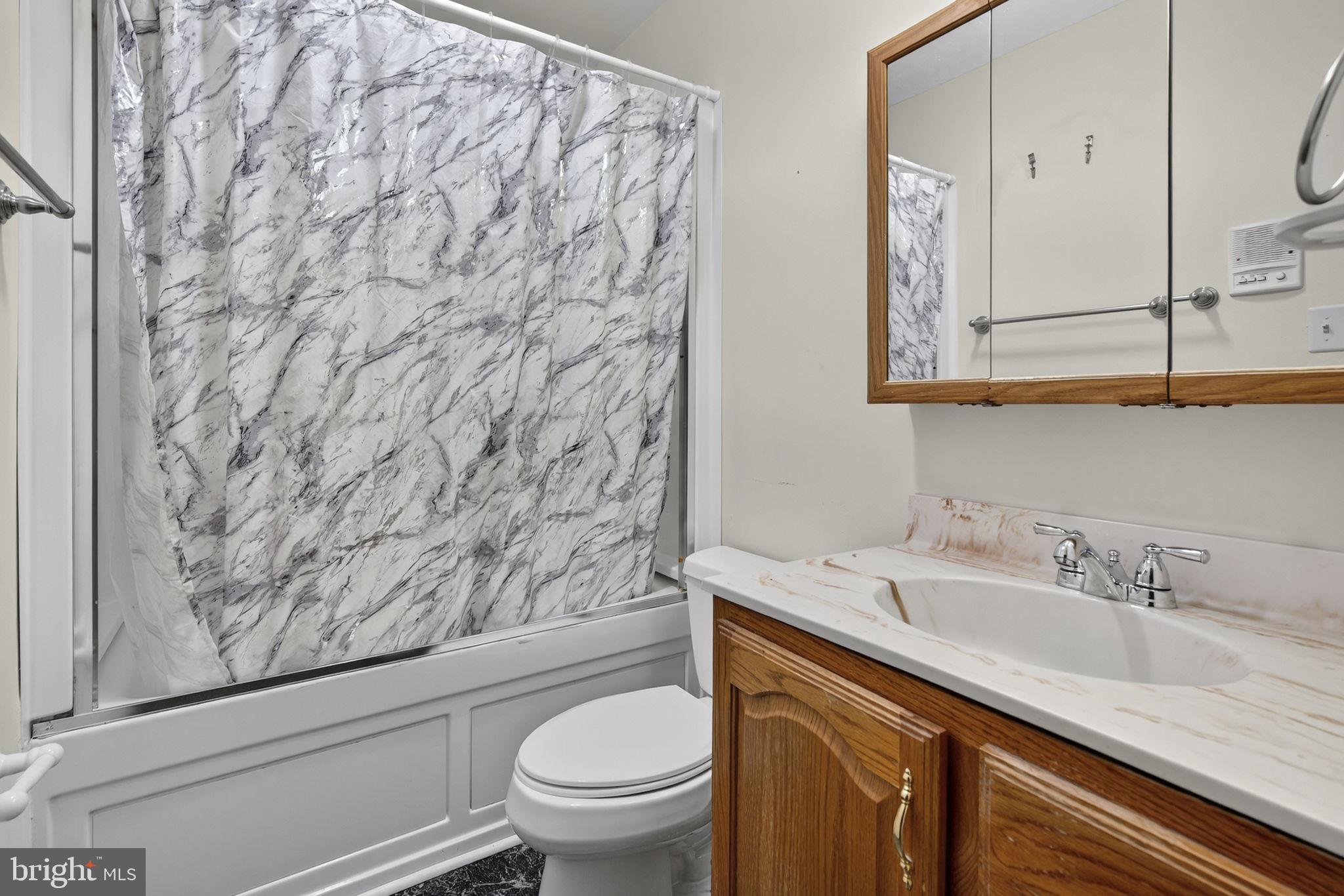 148 Viewtown Road Amissville, VA 20106 - Photo 39 of 56 a bathroom with a sink a toilet and a mirror