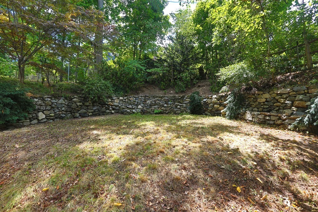 224 Mason Terrace Brookline, MA 02446 - Photo 23 of 23