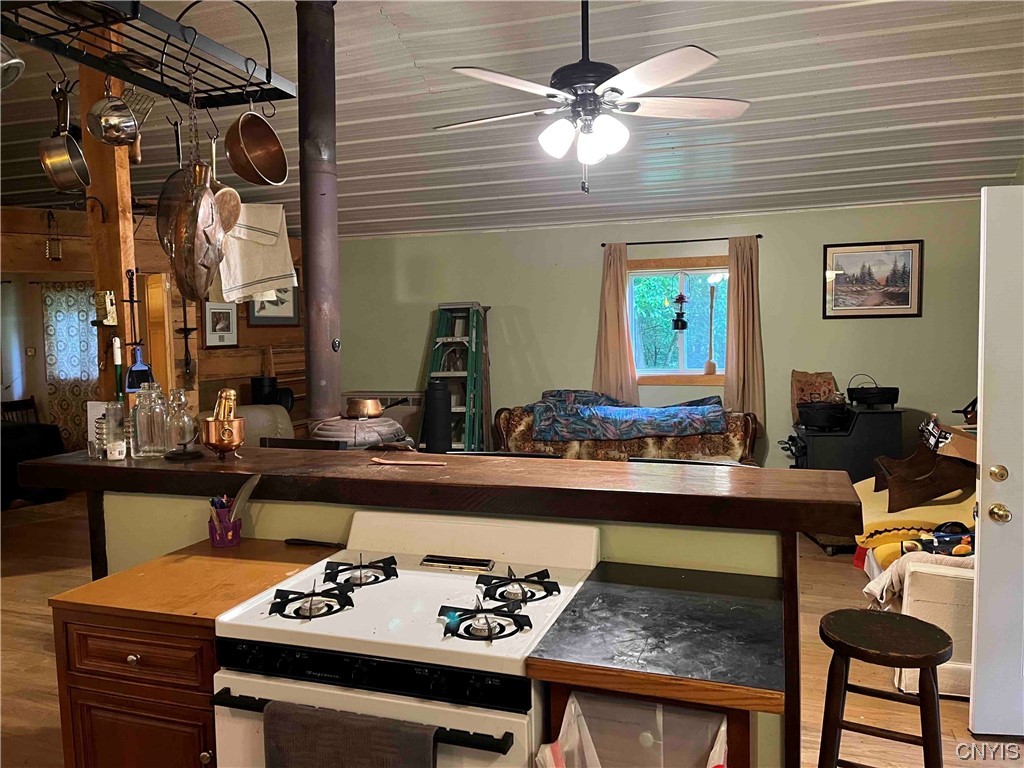 533 Alma Hill Road Alma, NY 14708 - Photo 11 of 44