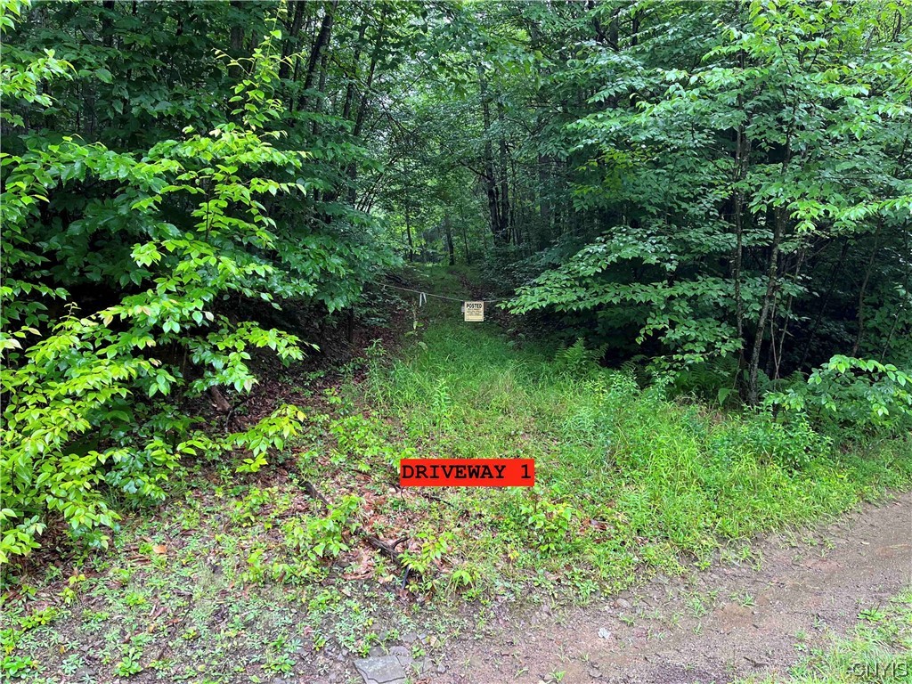 533 Alma Hill Road Alma, NY 14708 - Photo 32 of 44