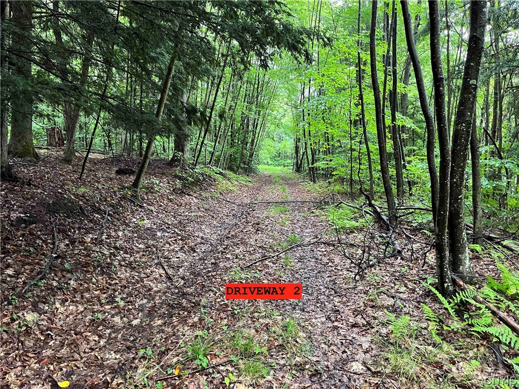 533 Alma Hill Road Alma, NY 14708 - Photo 33 of 44