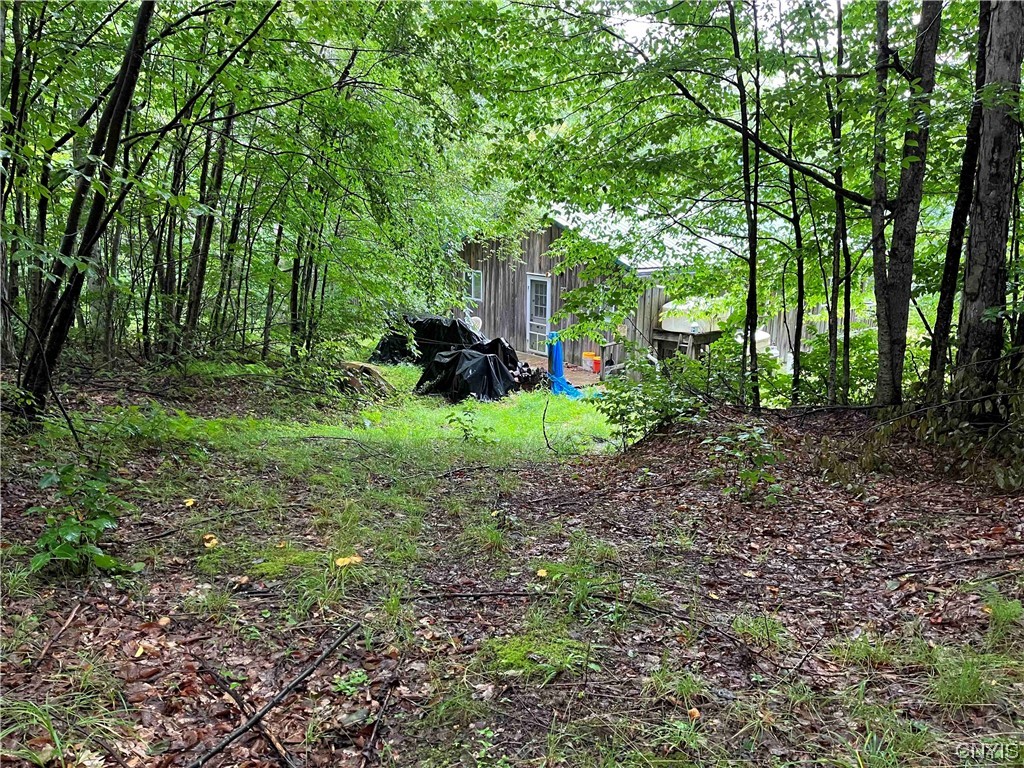 533 Alma Hill Road Alma, NY 14708 - Photo 34 of 44