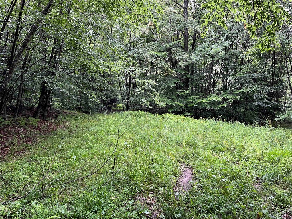 533 Alma Hill Road Alma, NY 14708 - Photo 35 of 44