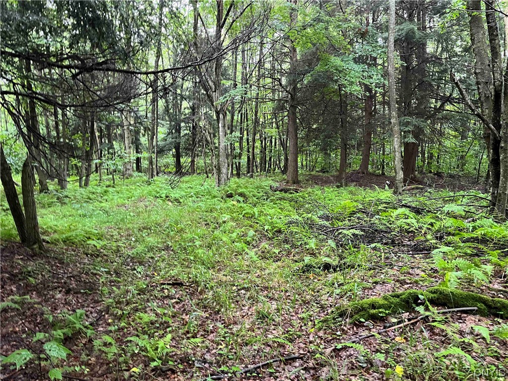 533 Alma Hill Road Alma, NY 14708 - Photo 36 of 44