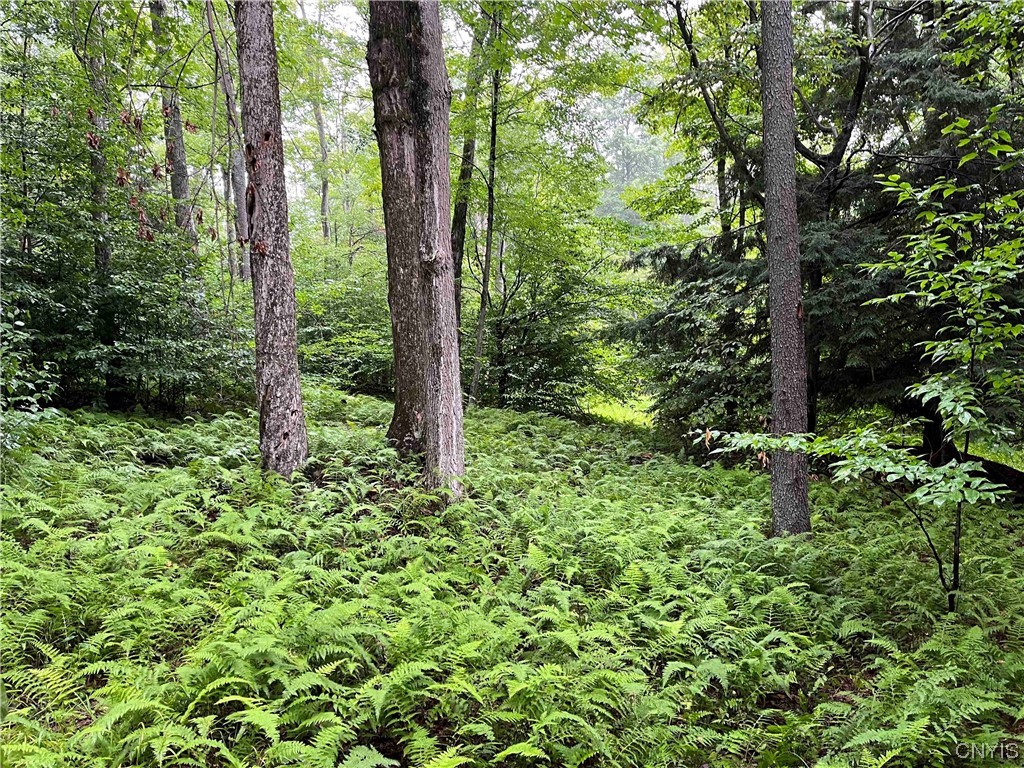 533 Alma Hill Road Alma, NY 14708 - Photo 37 of 44