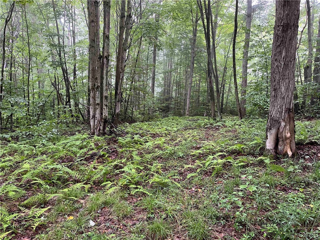 533 Alma Hill Road Alma, NY 14708 - Photo 38 of 44