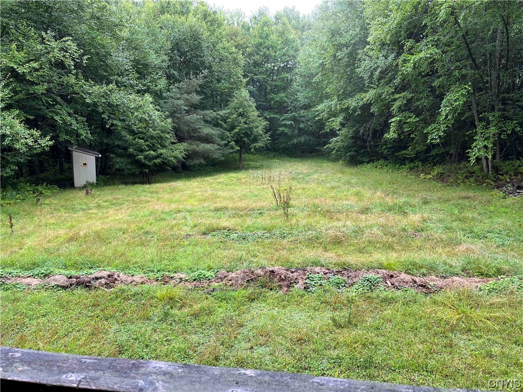 533 Alma Hill Road Alma, NY 14708 - Photo 40 of 44