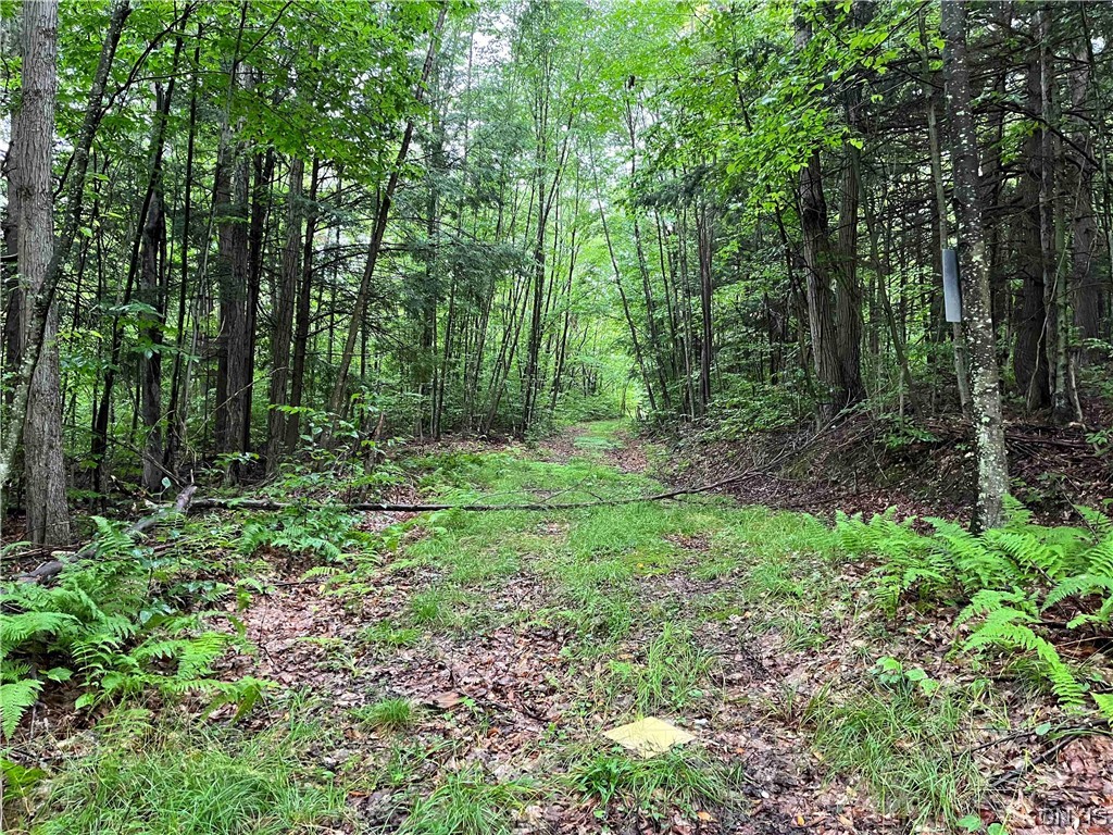 533 Alma Hill Road Alma, NY 14708 - Photo 41 of 44