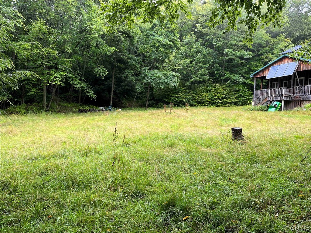 533 Alma Hill Road Alma, NY 14708 - Photo 43 of 44