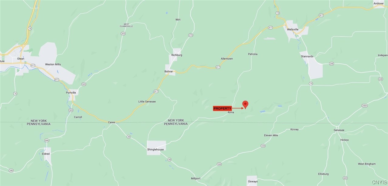 533 Alma Hill Road Alma, NY 14708 - Photo 44 of 44