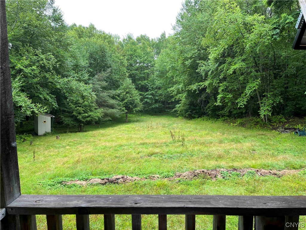 533 Alma Hill Road Alma, NY 14708 - Photo 9 of 44