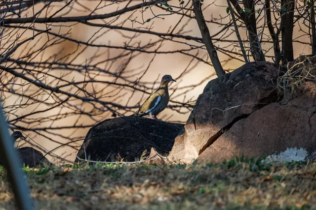 $2,500,000 | 409 East Main Street, Llano, TX 78643