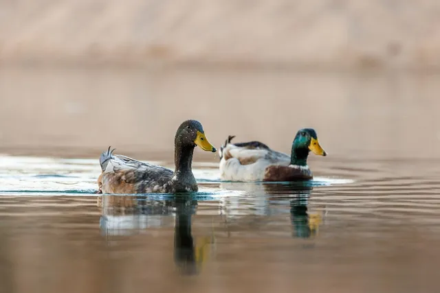 $2,500,000 | 409 East Main Street, Llano, TX 78643